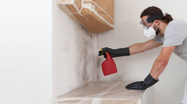 Professional Attic Mold Remediation technician working in Evans, GA