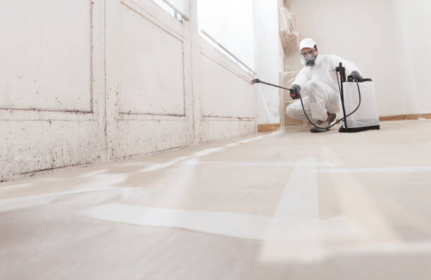 24/7 Emergency Attic Mold Remediation experts in Evans, GA