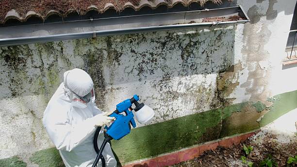 Top rated local Attic Mold Remediation specialists in Evans, GA